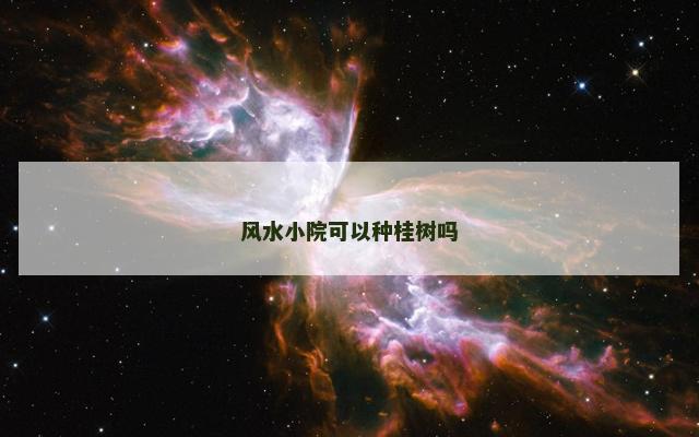 风水小院可以种桂树吗