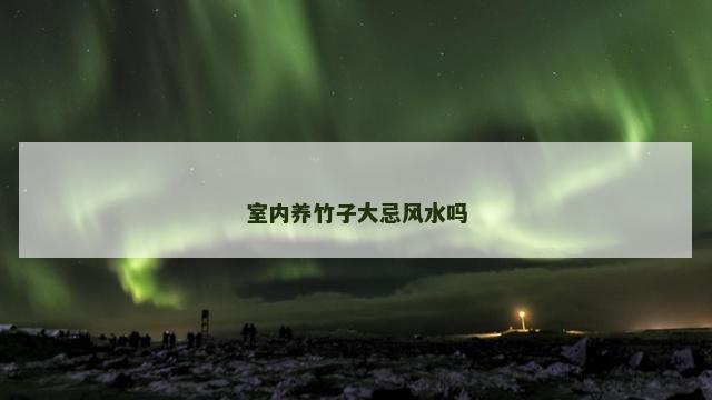 室内养竹子大忌风水吗
