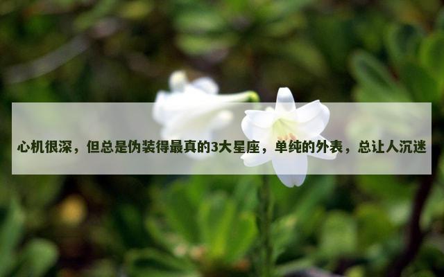 心机很深，但总是伪装得最真的3大星座，单纯的外表，总让人沉迷