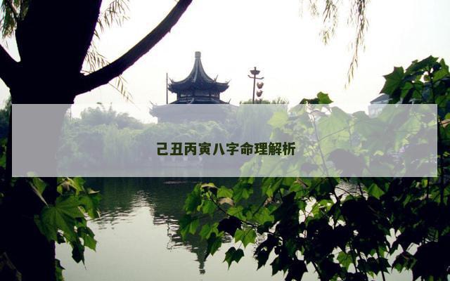 己丑丙寅八字命理解析