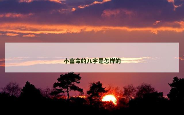 小富命的八字是怎样的