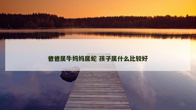 爸爸属牛妈妈属蛇 孩子属什么比较好