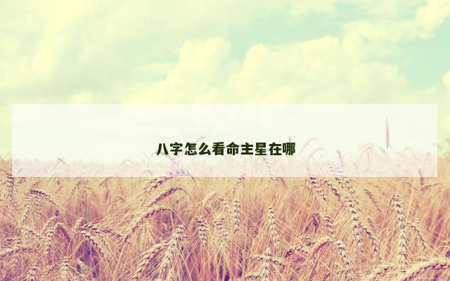 八字怎么看命主星在哪