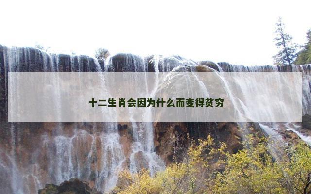 十二生肖会因为什么而变得贫穷
