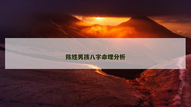 陈姓男孩八字命理分析