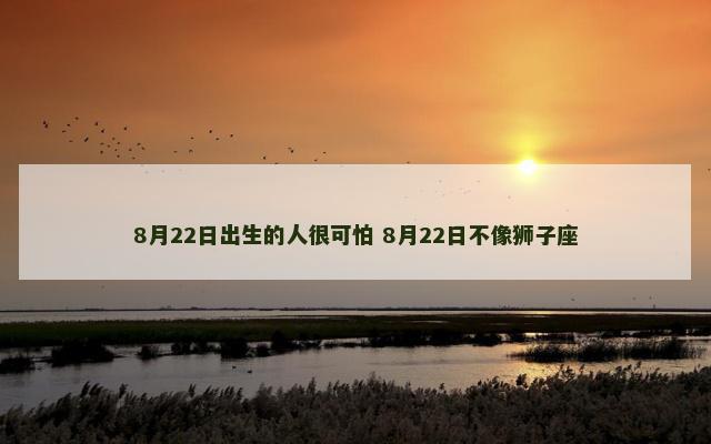 8月22日出生的人很可怕 8月22日不像狮子座
