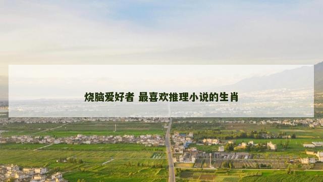 烧脑爱好者 最喜欢推理小说的生肖