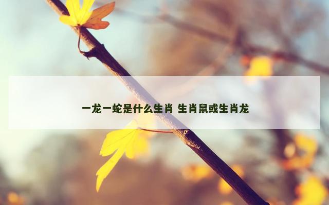 一龙一蛇是什么生肖 生肖鼠或生肖龙