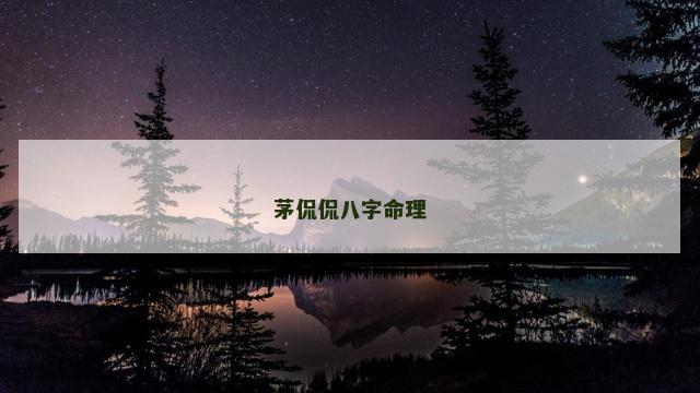 茅侃侃八字命理