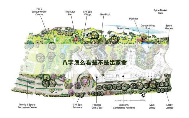 八字怎么看是不是出家命