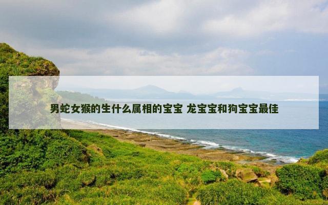 男蛇女猴的生什么属相的宝宝 龙宝宝和狗宝宝最佳