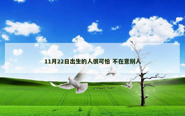 11月22日出生的人很可怕 不在意别人