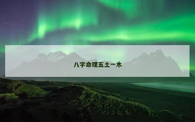 八字命理五土一木