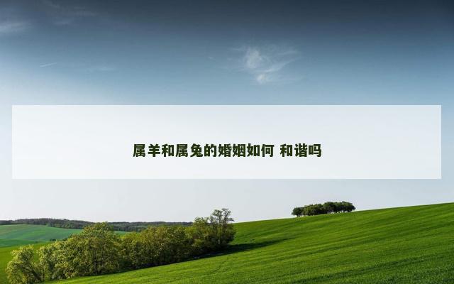属羊和属兔的婚姻如何 和谐吗