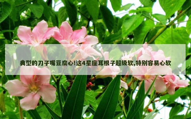 典型的刀子嘴豆腐心!这4星座耳根子超级软,特别容易心软