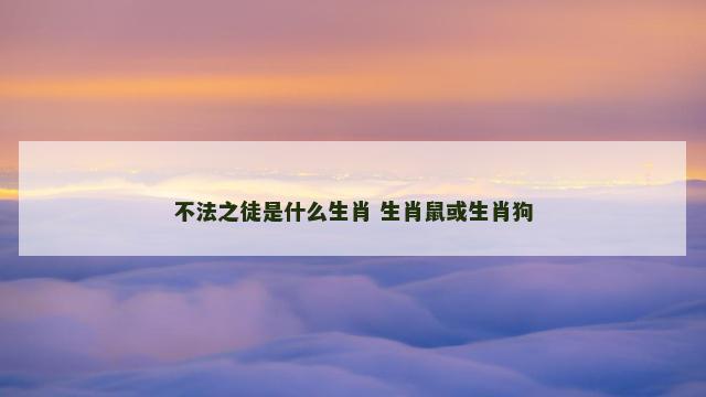 不法之徒是什么生肖 生肖鼠或生肖狗