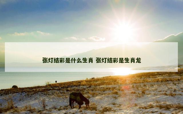 张灯结彩是什么生肖 张灯结彩是生肖龙