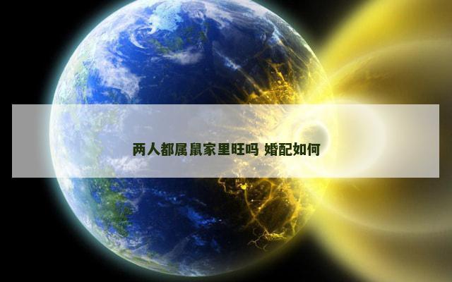 两人都属鼠家里旺吗 婚配如何