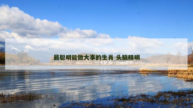 最聪明能做大事的生肖 头脑精明