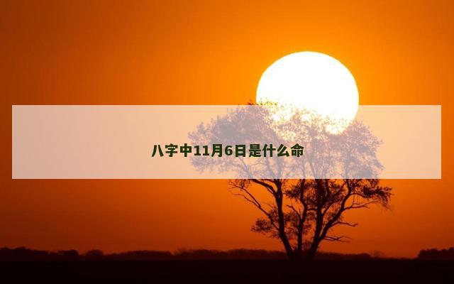 八字中11月6日是什么命