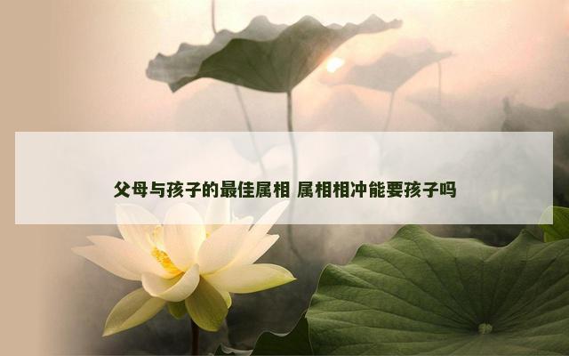 父母与孩子的最佳属相 属相相冲能要孩子吗