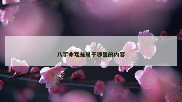八字命理是属于哪里的内容