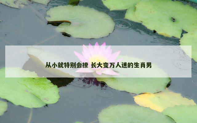 从小就特别会撩 长大变万人迷的生肖男
