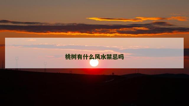 桃树有什么风水禁忌吗