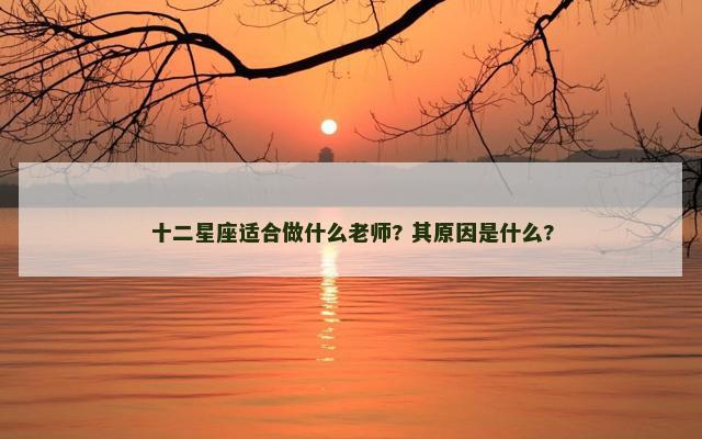 十二星座适合做什么老师? 其原因是什么?