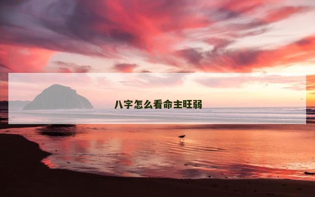八字怎么看命主旺弱
