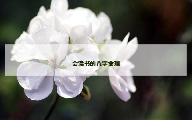 会读书的八字命理