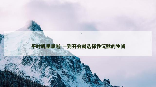 平时叽里呱啦 一到开会就选择性沉默的生肖