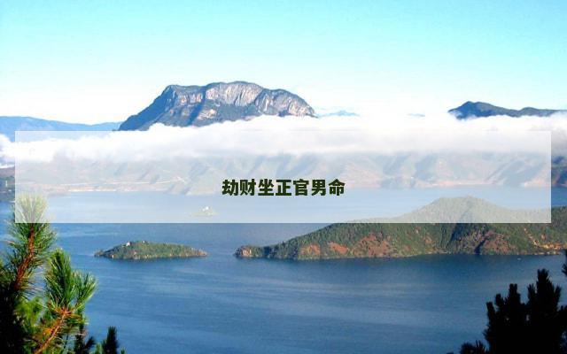 劫财坐正官男命