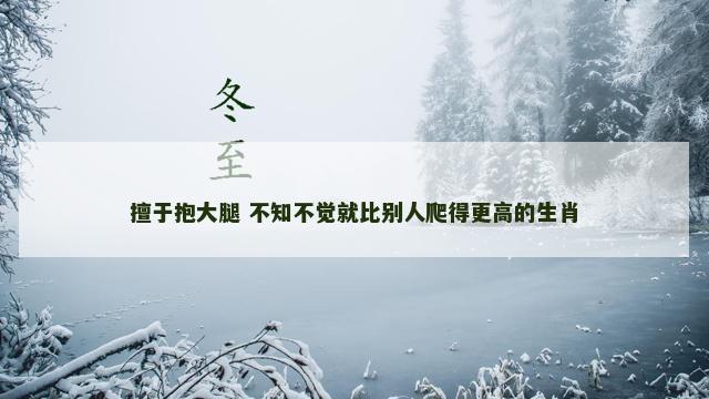 擅于抱大腿 不知不觉就比别人爬得更高的生肖