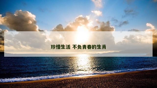珍惜生活 不负青春的生肖