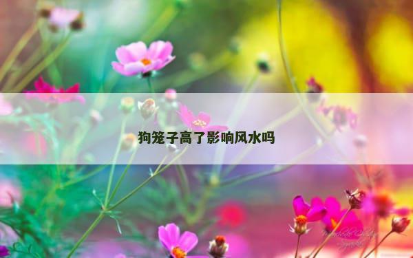 狗笼子高了影响风水吗