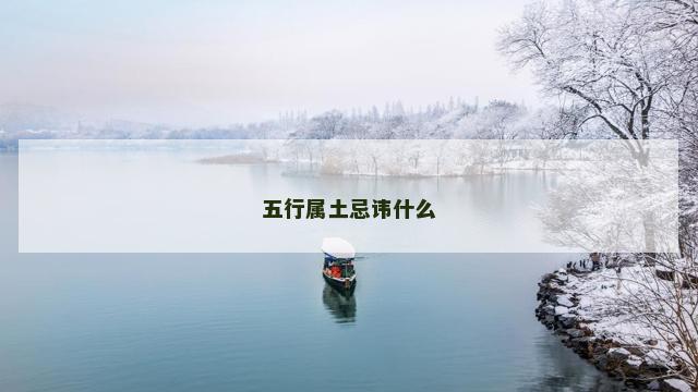 五行属土忌讳什么