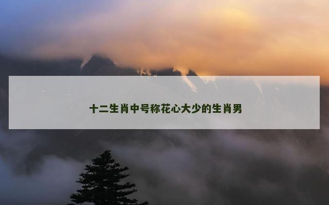 十二生肖中号称花心大少的生肖男