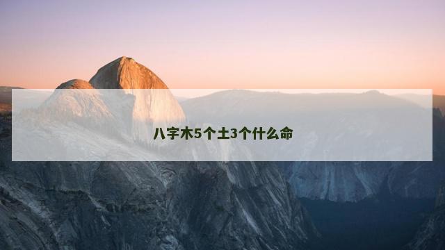 八字木5个土3个什么命