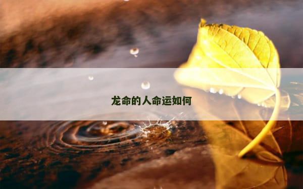 龙命的人命运如何