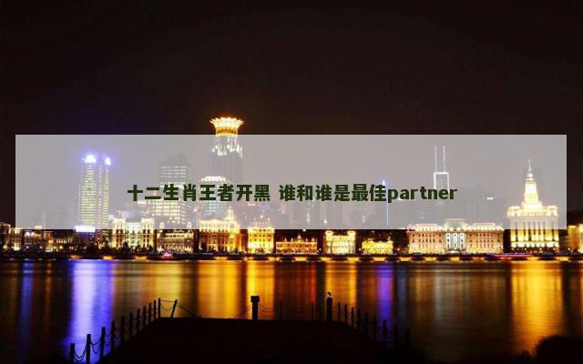 十二生肖王者开黑 谁和谁是最佳partner