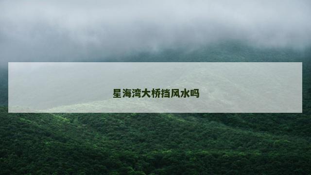 星海湾大桥挡风水吗
