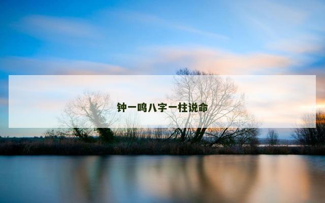 钟一鸣八字一柱说命
