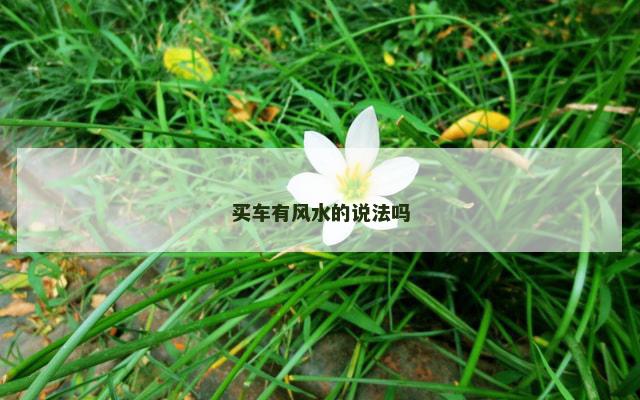 买车有风水的说法吗