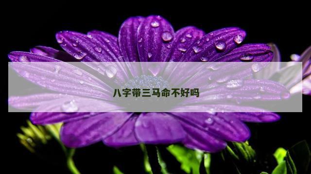 八字带三马命不好吗