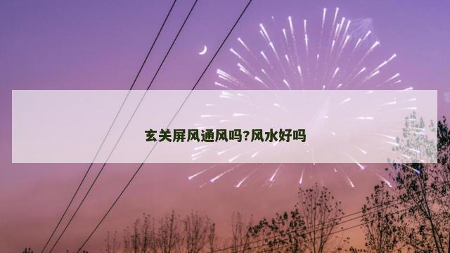 玄关屏风通风吗?风水好吗