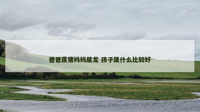 爸爸属猪妈妈属龙 孩子属什么比较好