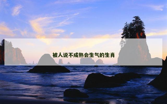 被人说不成熟会生气的生肖