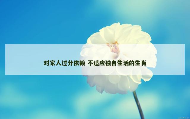 对家人过分依赖 不适应独自生活的生肖