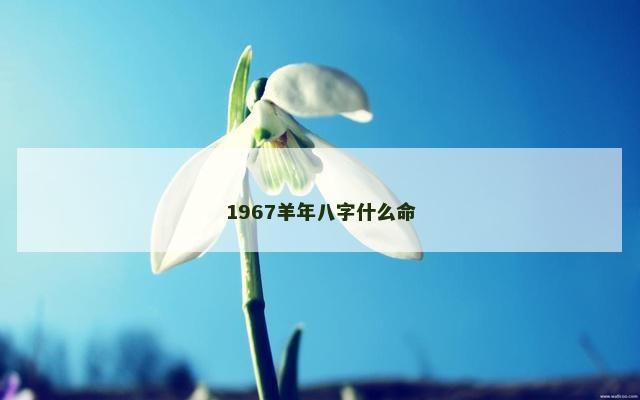 1967羊年八字什么命